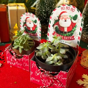 Porta Vasinhos ou Mini Panetone Natal