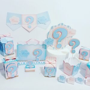 Festa Chá Revelação