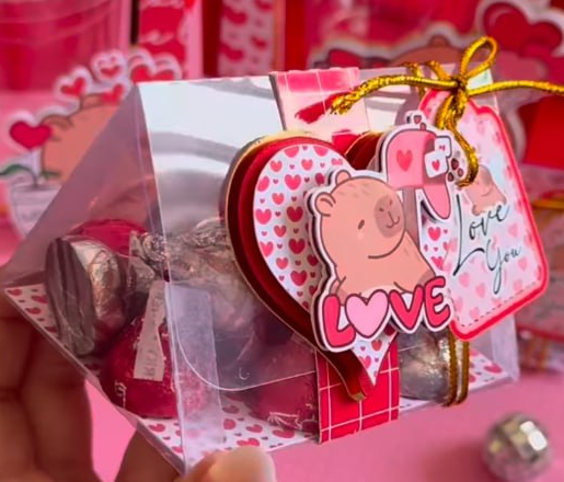 Caixa Triangular Capivara