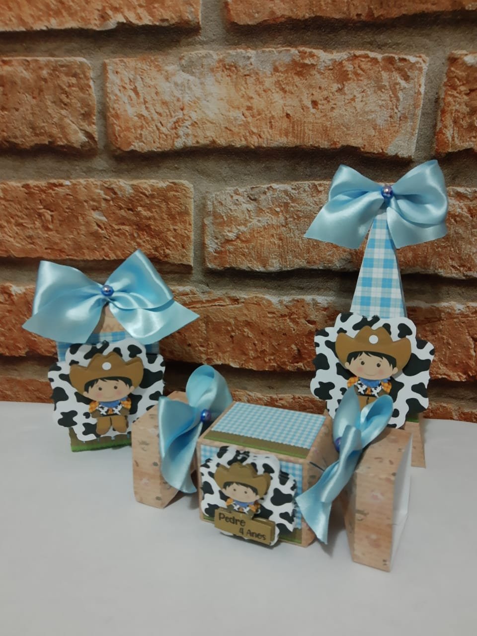 Festa Cowboy Country