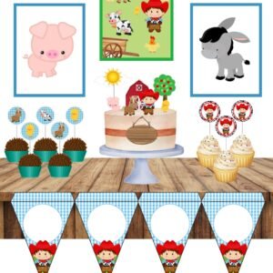 Festa Fazendinha Menino