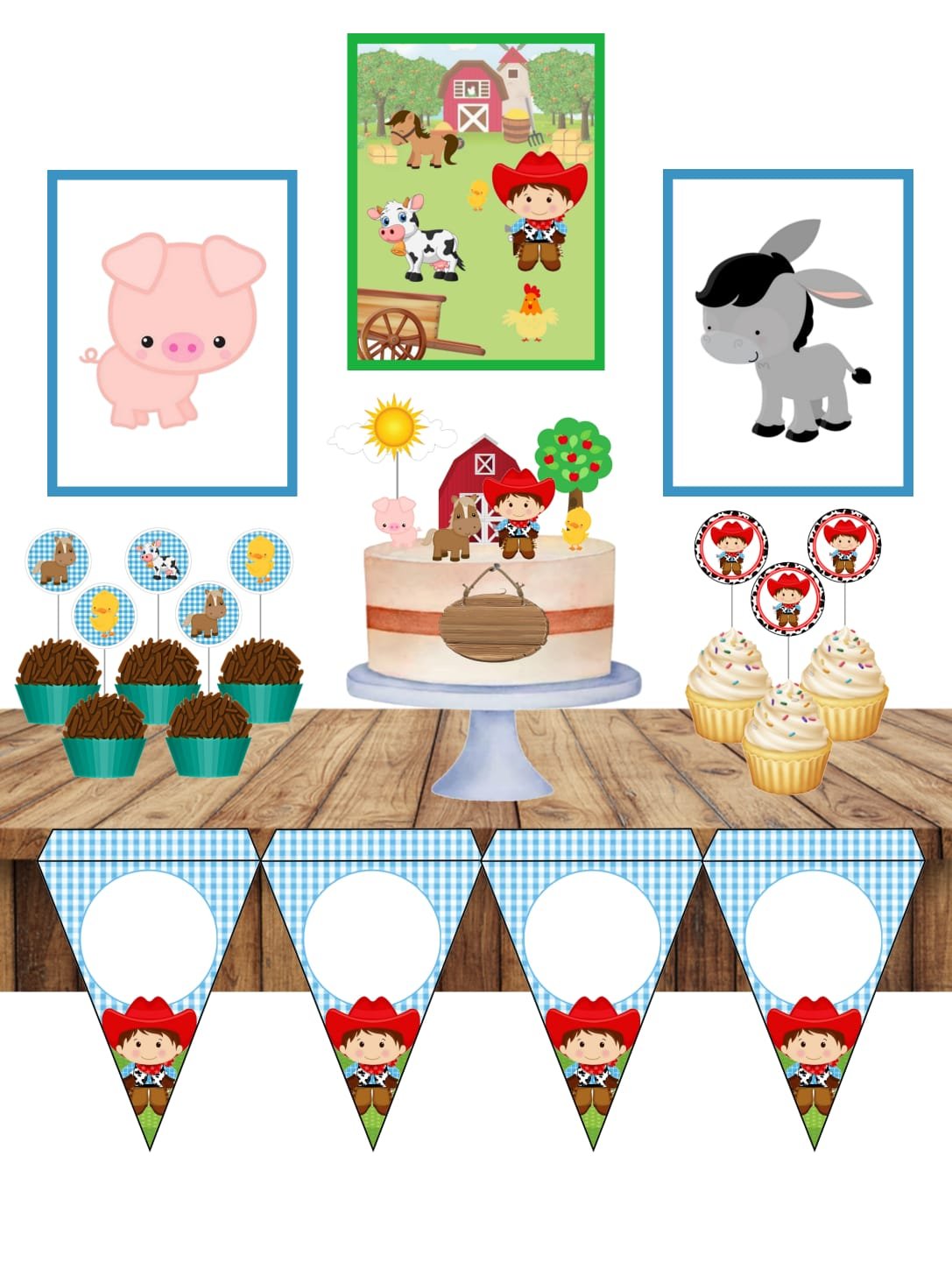 Festa Fazendinha Menino