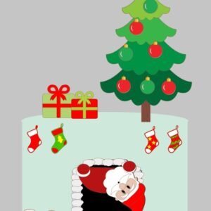 Topo Papai Noel Lareira