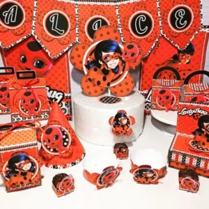 Festa Ladybug