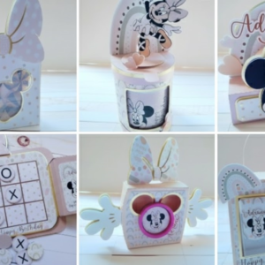 Festa Minnie Bailarina