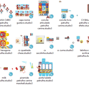 Festa Patrulha Canina
