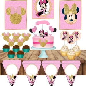 Festa Minnie Rosa