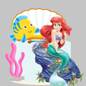 Topo Ariel