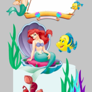 Topo Ariel