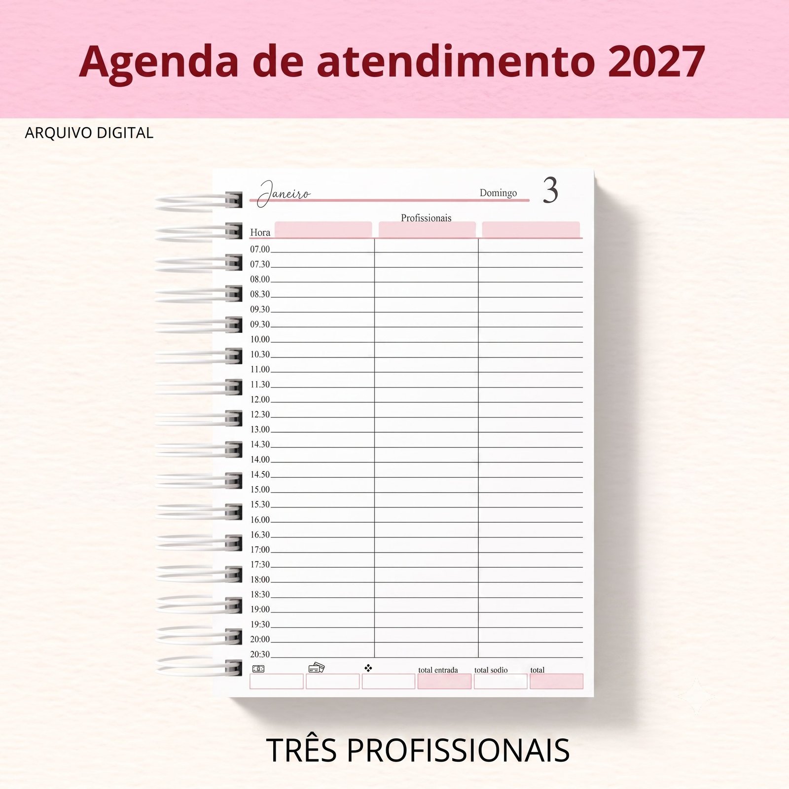 Miolo Agenda Profissionais